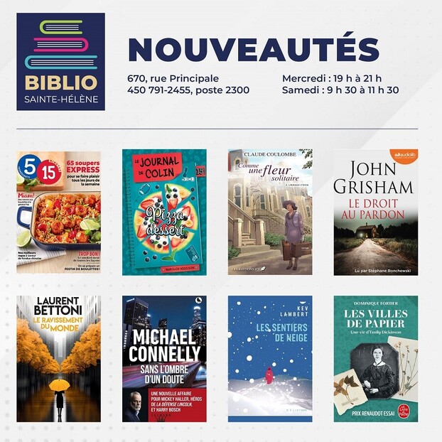 Affiche Biblio pub 1 janvier 2025