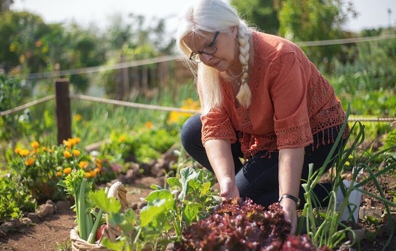 Conférence horticole « Le potager »